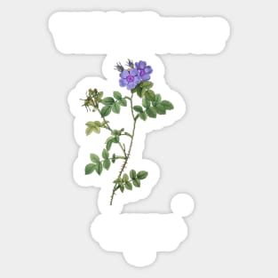 Wild Flower Light Sticker